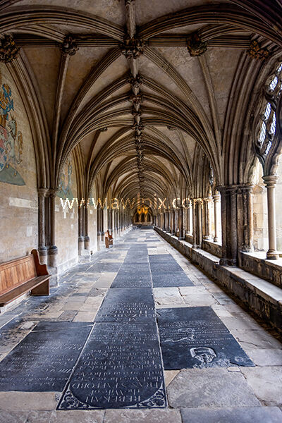 Norwich Cathedral