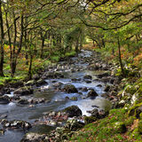 Gorge above Llanbedr