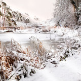 The Ponds in the Snow