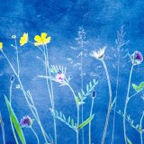 Wild flowers 5 on cyanotype background