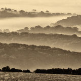 Misty Morning over Somerset Levels 2