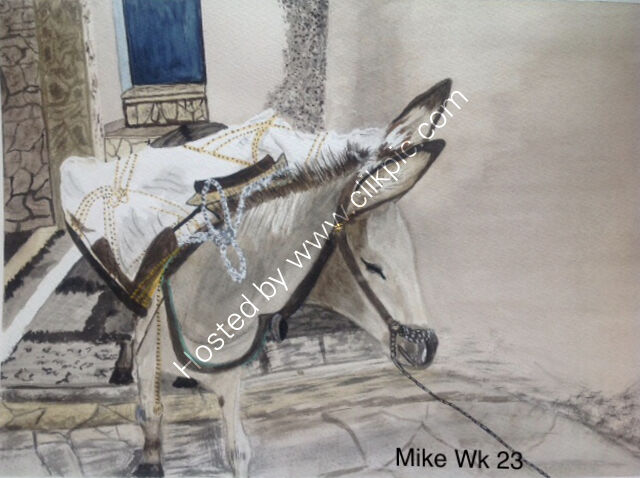 Mike