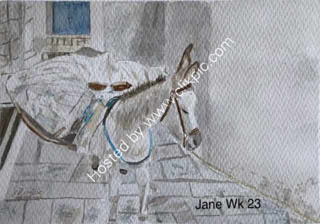 Jane