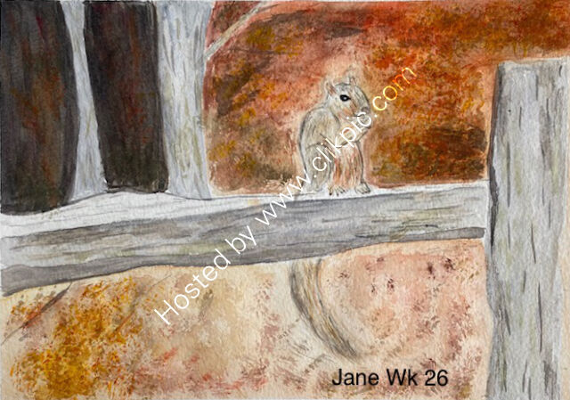 Jane