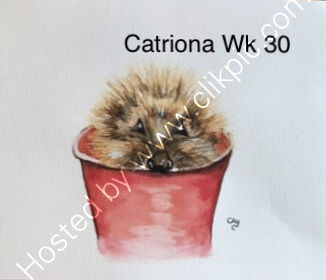 Catriona