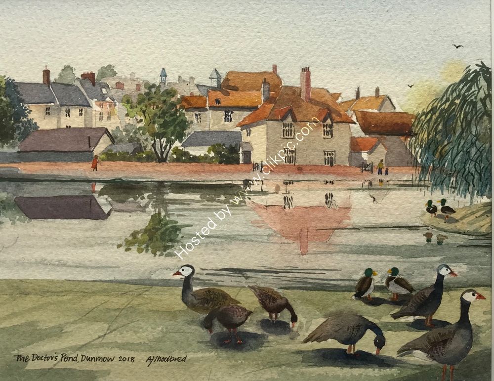 Doctors Pond