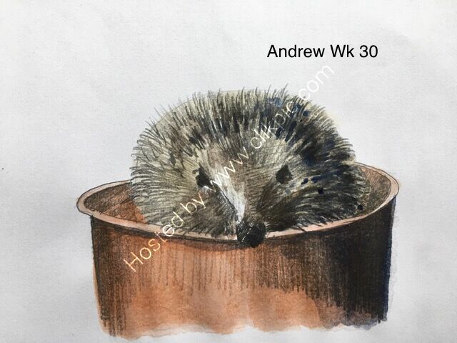 Andrew