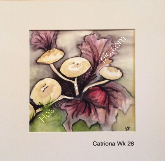 Catriona