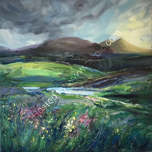 Foinaven summer