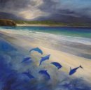 Memories of Dolphins