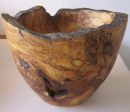 spalted sycamore