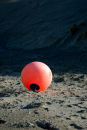 Beach buoy