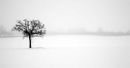 Snowscape #1