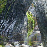 Hidden Pool