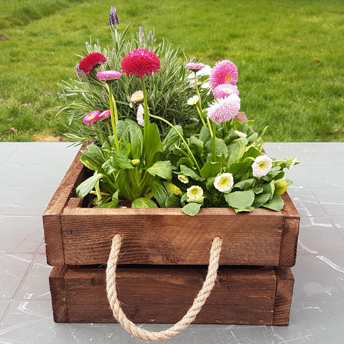 crate box with flowers in rope handled