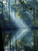 Zig-Zag Mist, Hartsholme Park