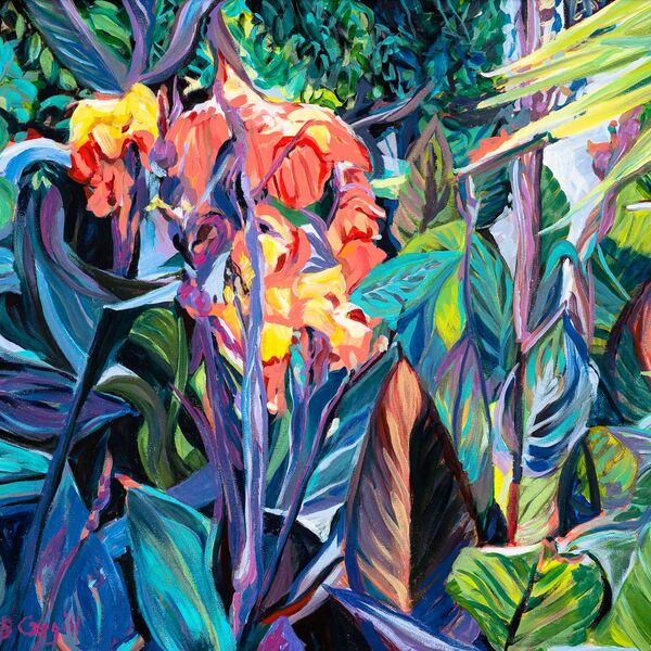 Tropicana Canna Lilies, Glenholme