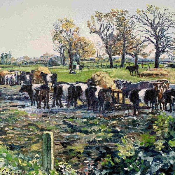 Cattle feeding, Avon Causeway
