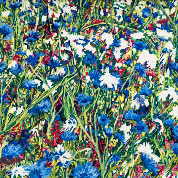 Corn Flowers