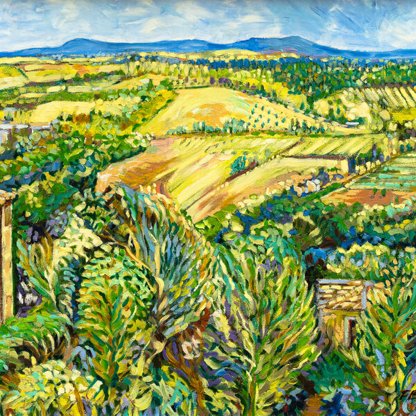 View south from San Gimignano