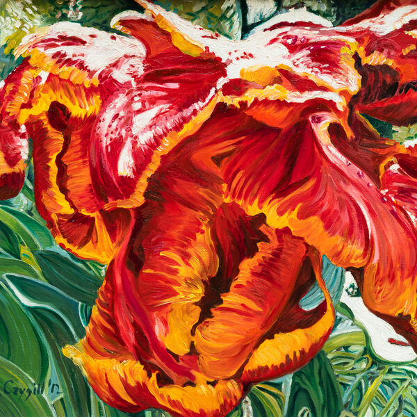 Red Tulip