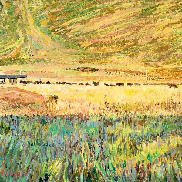 Cattle Farm, Puno, Peru