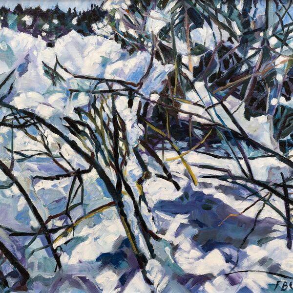 Snow on the Forsythia