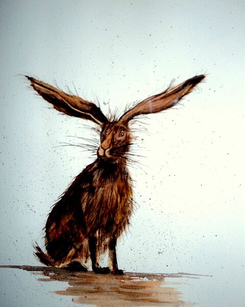 Hare