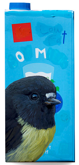 Day 43 - Tomtit