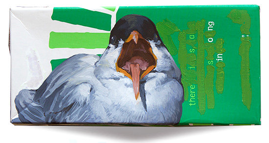 Day 51 - Black-fronted Tern