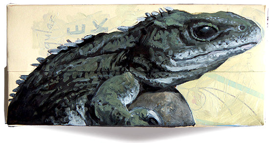 Day 77 - Brother's Island Tuatara