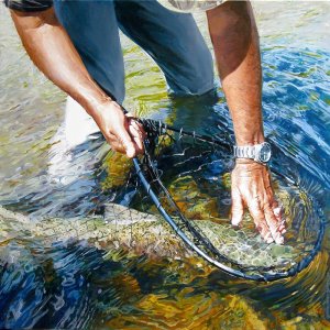 Catch and Release