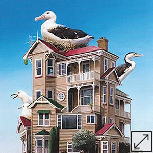 the Birdhouse