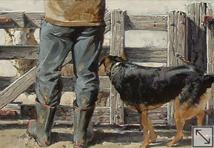 Dog Tucker