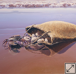Ebb Tide