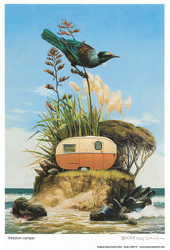 Freedom Camper