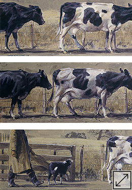 Friesian Frieze