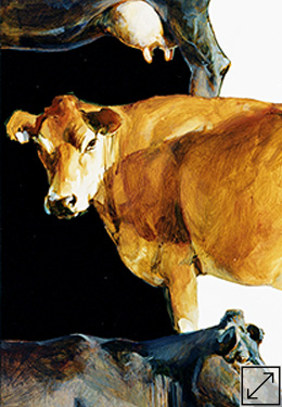 Half a Side of beef