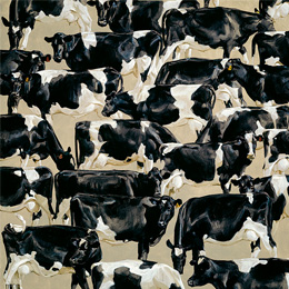 the Herd