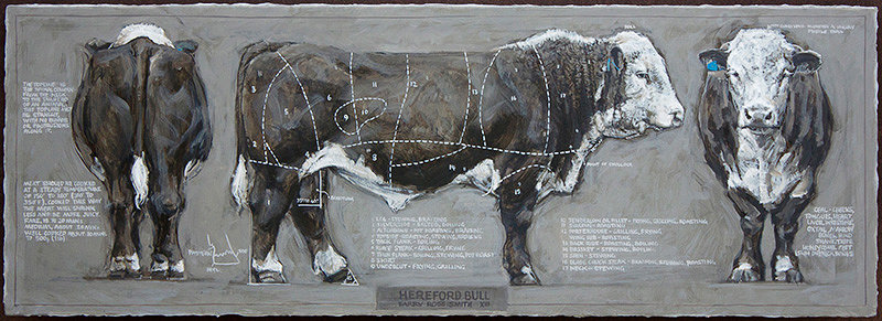Hereford Bull
