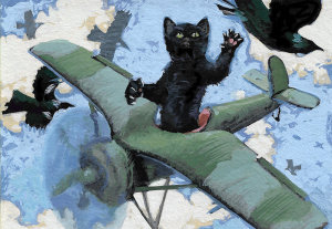 Cat Fight