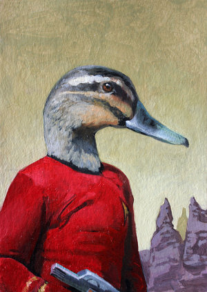Grey Duck