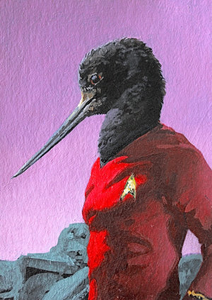 Black Stilt