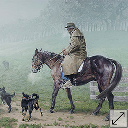 Morning Mist