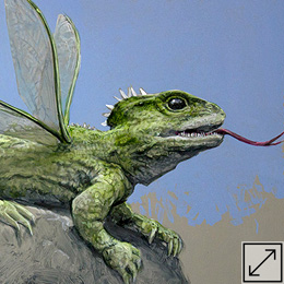 NZ Dragon