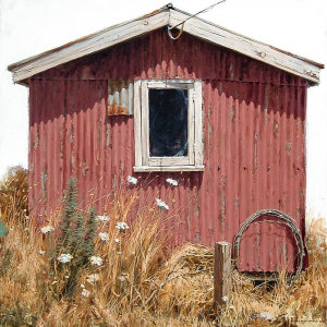 Portrait of a Shed