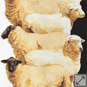 Rack of Lamb