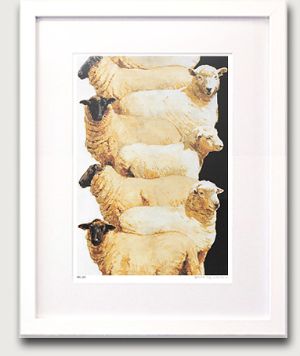 Framed Print