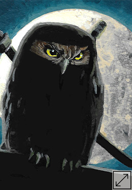 Ninja Ruru