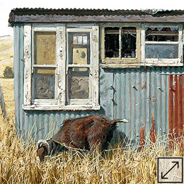 Scenic Shed